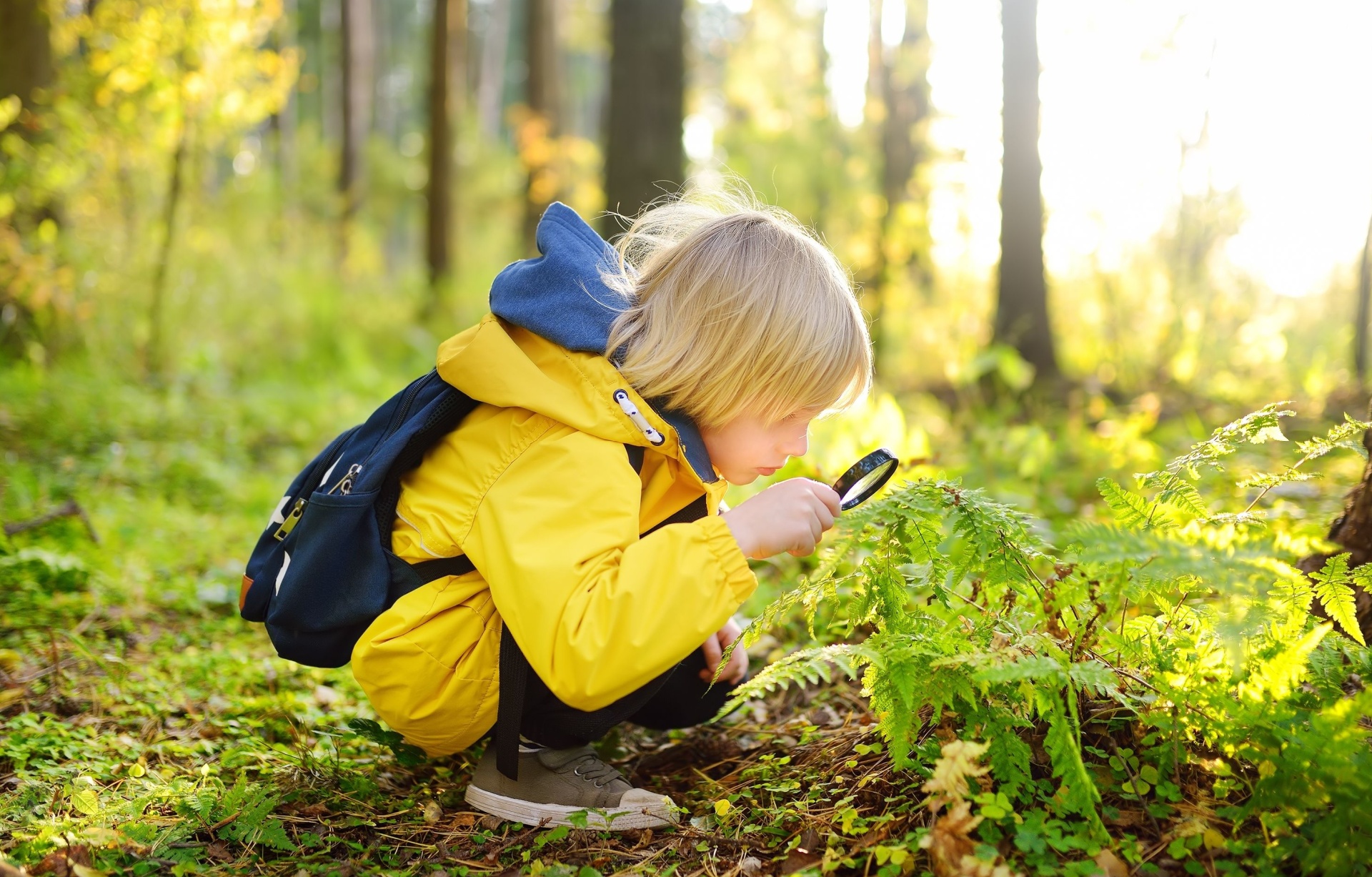 A boy using a magnifying glass in the woods.